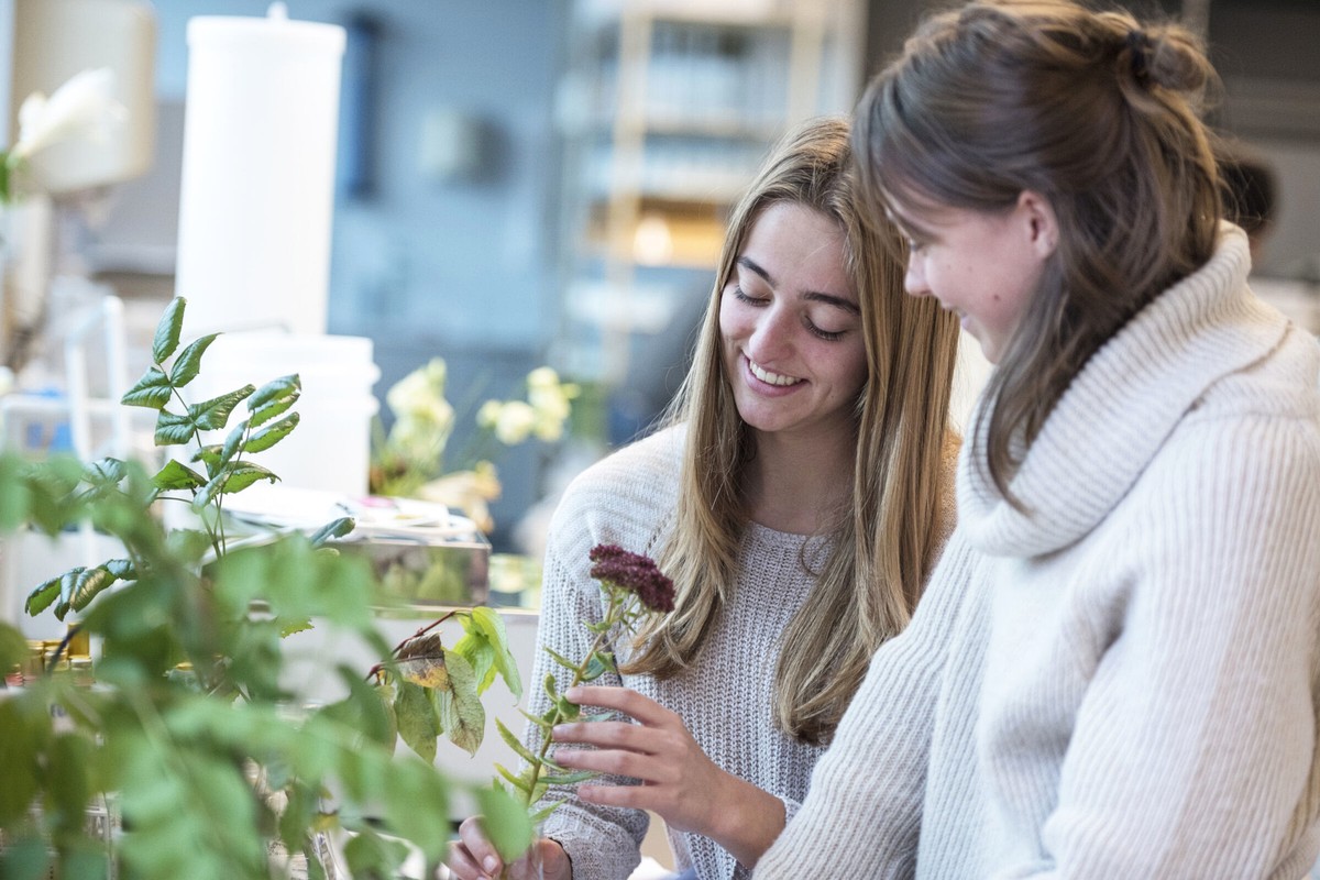 Two people examining a green plant together in a bright indoor space.